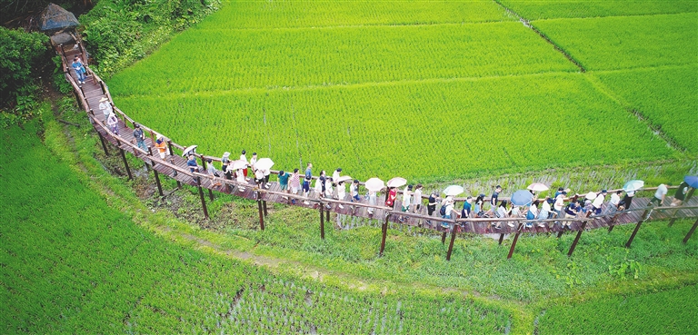 海南省农业厅关于印发2018年 海南共享农庄创建试点申报方案的通知