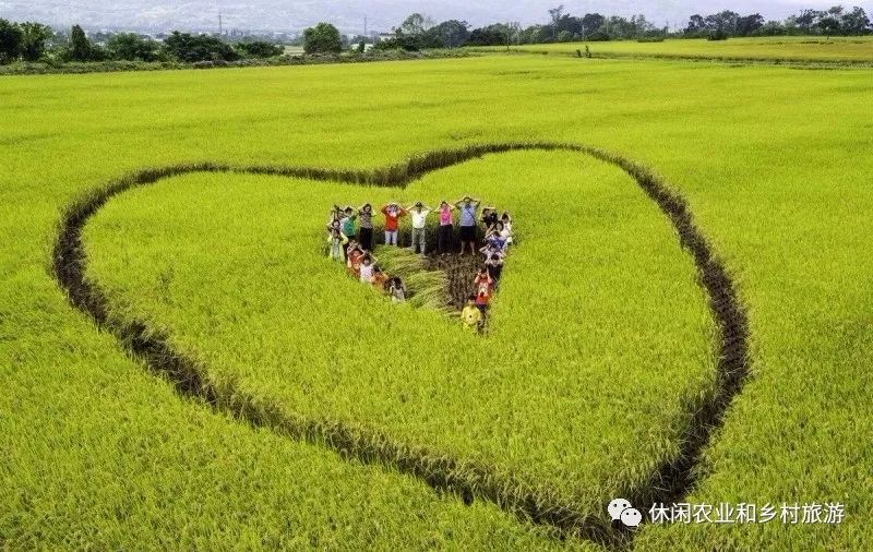 开云 开云体育官网休闲农业的规划设计理念是什么？(图6)