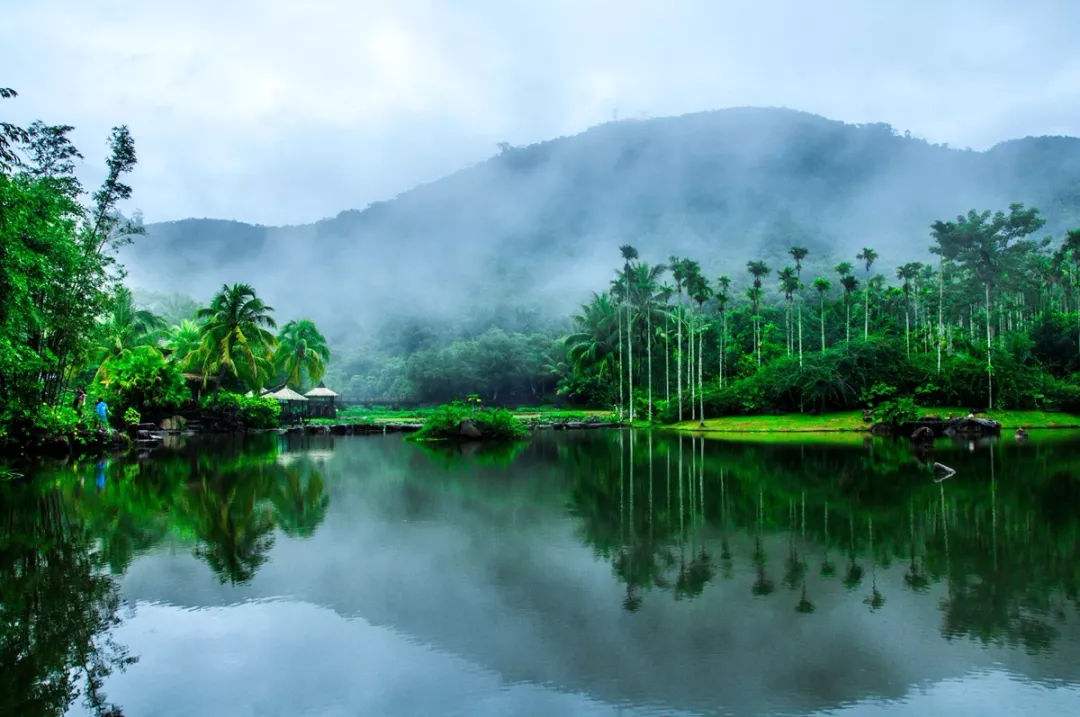 海南热带雨林国家公园建设工作专题会议召开