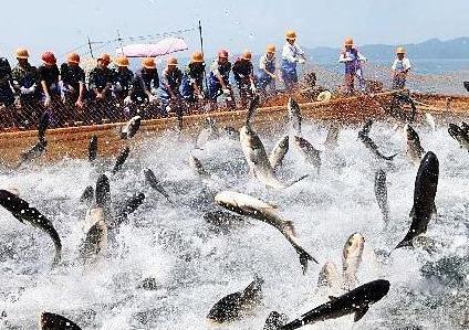 海南省发展和改革委员会关于印发  《海南省休闲渔业发展规划（2019-2025年）》的通知