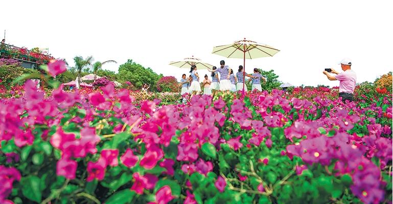 2021年春节黄金周海南乡村旅游点接待客人86.08万人次