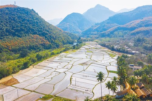 海南省农业农村厅关于印发2021年海南省耕地地力保护补贴实施方案的通知