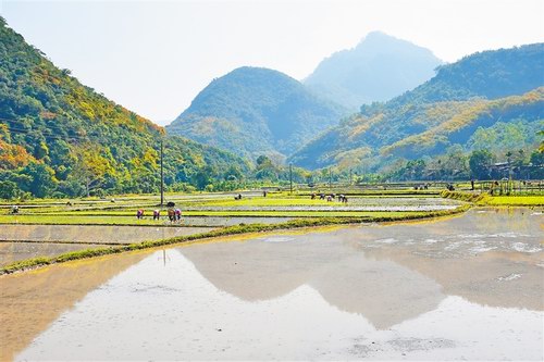 海南省推进共享农庄发展工作专班关于印发《海南共享农庄建设规范》的通知