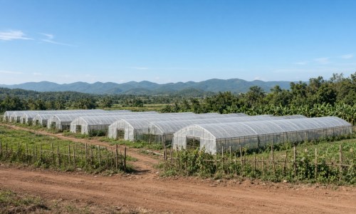 休闲农业用地与设施农业政策的实务解读