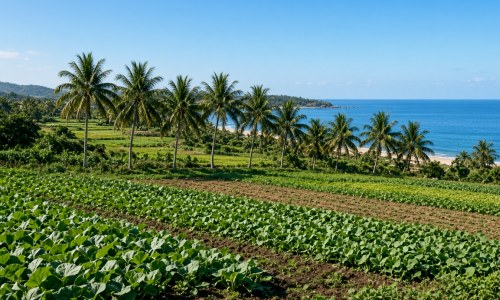 海日经济：海南发布10条休闲农业精品线路 助推乡村休闲游